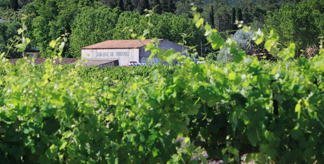 Domaine Triennes